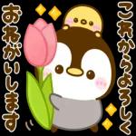 ぺんぺんの春❤️