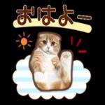 ありがとう
}
ござい
ます