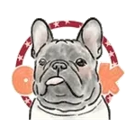 【動く】毎日使えるフレンチブルドッグ