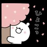 ガーリーくまさんの春