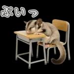 フクロモモンガ❤実りの秋は大豊作