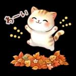 猫のつめあわせ【秋】