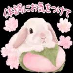 かわいらしい小さな花だ