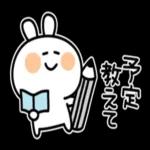 暑い夏のだるだるうさぎ