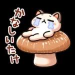 猫のつめあわせ④【ダジャレ】