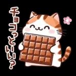 猫のつめあわせ④【ダジャレ】