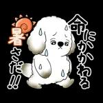 動く犬さん 2025 「暑い夏」
