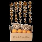 大きく表示♡冬にゃんこ