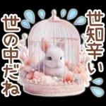 癒しうさぎのマリンスタイル☆*。