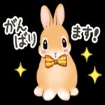 可愛いウサギ🐰からのメッセージ