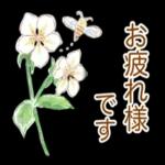 読書の秋、楽しんでいきたいと思います🌻
