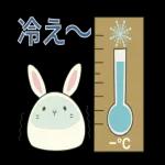 今日は寒いですね！！