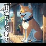夏の天気をお知らせする柴犬【便利・日常】