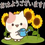 おはよう
ございます