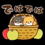 黒豆柴 あずき♡毎日使える 秋冬ver