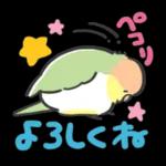 可愛いインコちゃんと一緒に冬を過ごしましょう！