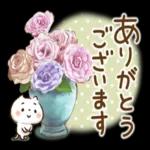 🌼春の息吹パッケージ