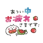 吾輩は猫です。。。夏