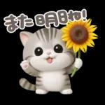 ねこちぃず♡夏スタンプ