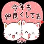かわいい猫😺が来ますよ！