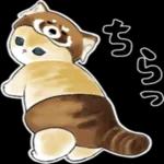 にゃんぱんつ_-_～