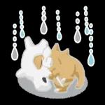 いい夢見てえね〜おやすみ〜💤