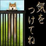 さすが！柴犬（よく使う言葉編２）
