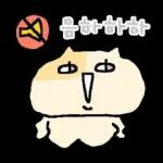 말수가 적은 고양이