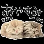 やる気ゼロ♡にゃんこ