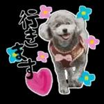 大人かわいい日常メッセージ?