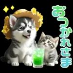 夏 猛暑 酷暑♡シベリアンハスキーとネコ