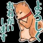 柴犬の手書き風スタンプです。