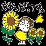 はな子※夏真っ盛り日常。