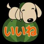 お身体お大事にしてくださいね〜