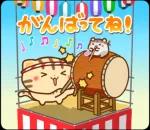 夏も飛び出す♪ ネコちゃん ハムちゃん