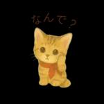 子猫のとらの日常スタンプ