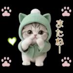 給与支払いのメッセージ