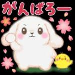 ベイビーうさぎさん「春」_-