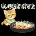 冬のキラキラおめめの子猫ちゃん