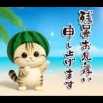 ねこちぃず♡夏スタンプ