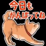 柴犬の手書き風スタンプです。