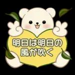 癒しを運ぶくまさん ♡ ポジティブ
