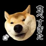 Premium 柴犬こてつ君*スタンプ第二弾