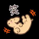 33 天绿飞可
