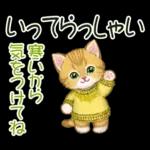 冬のキラキラおめめの子猫ちゃん