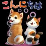 柴にゃんスタンプ