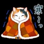 三毛猫のつめあわせ【秋】