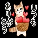  ゆっくり休んで、お大事にして。。。