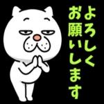 😍憧れ💕アルバム
