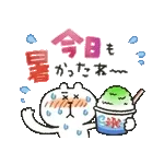 吾輩は猫です。。。夏